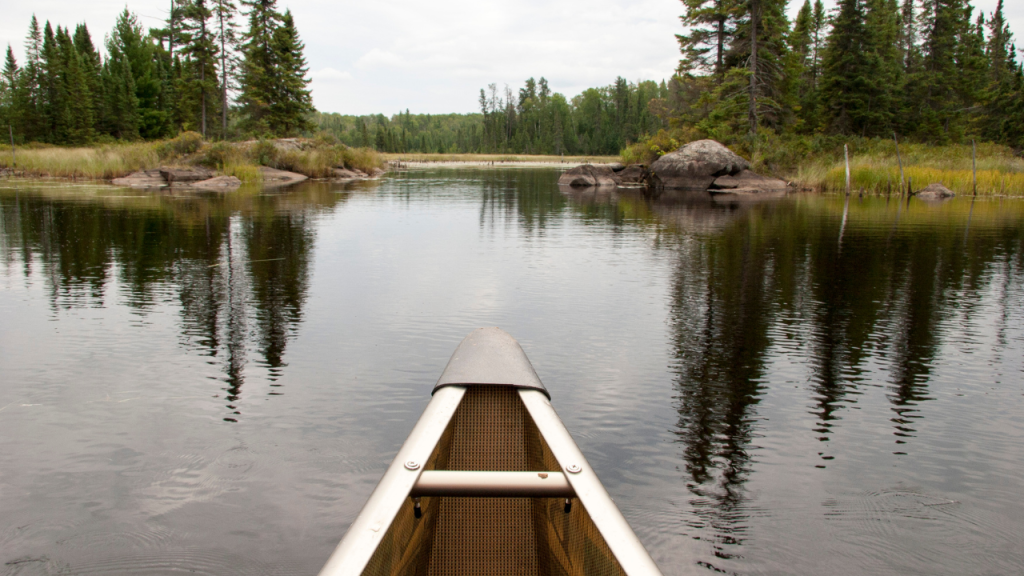 BWCA